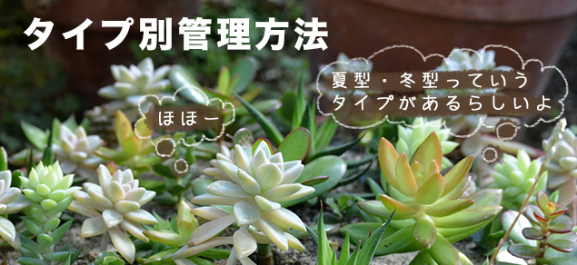 タイプ別管理方法