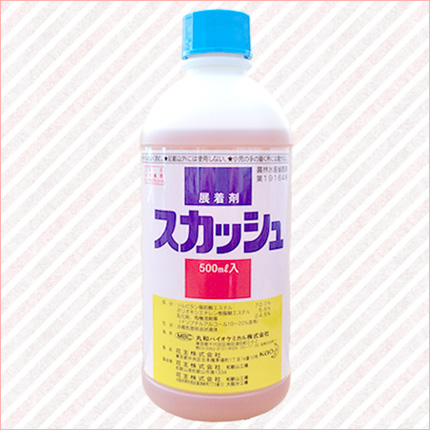 スカッシュ