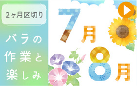 バラの作業７～８月