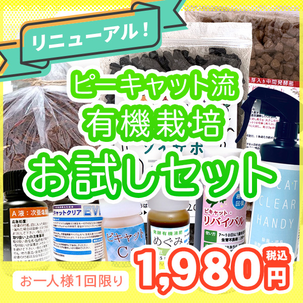 お試しセット