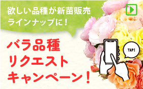品種リクエストキャンペーン！