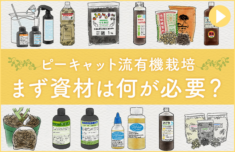まず何が必要？