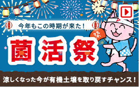菌活祭