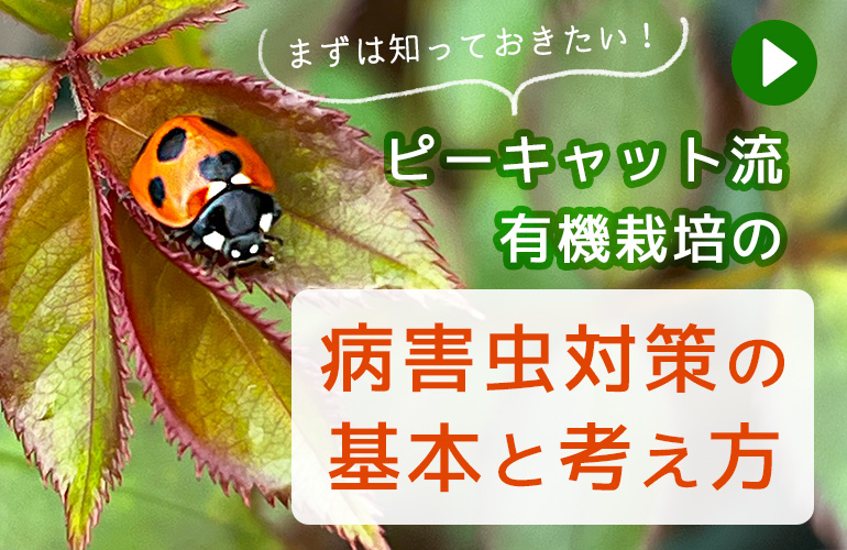 有機・無農薬での病害虫対策の基本と考え方