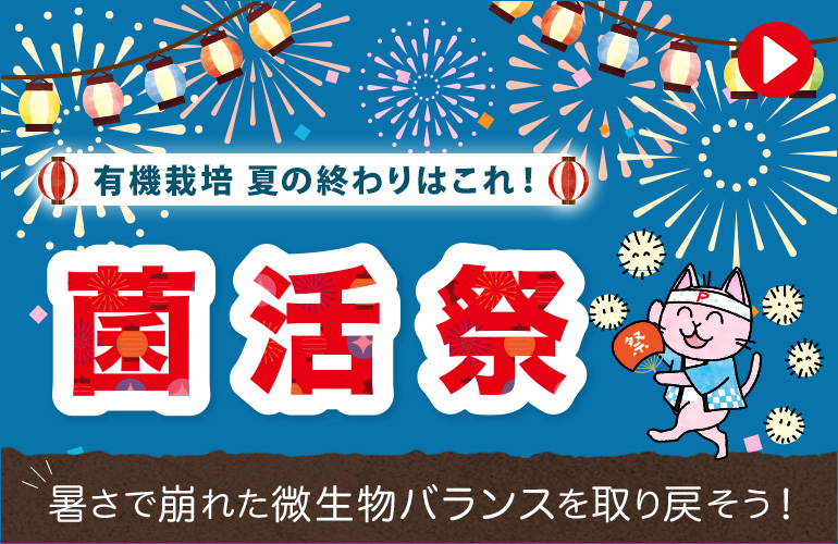 有機栽培の夏の終わりは菌活祭！