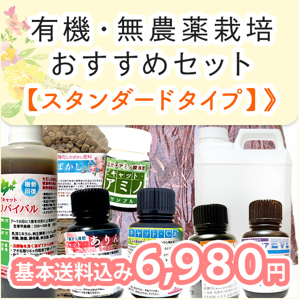 有機・無農薬栽培おすすめセット 有機・無農薬栽培おすすめセット