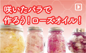 ローズオイル