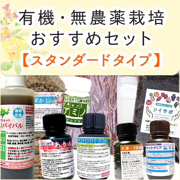 スタンダードタイプ