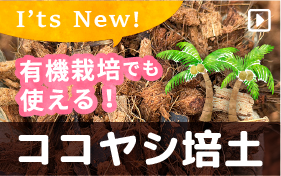 ココヤシ培土