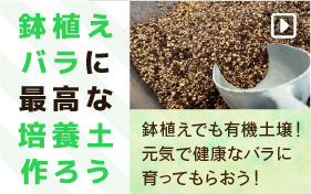 鉢植えの培養土の作り方