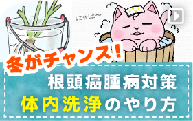 体内洗浄のやり方