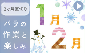 バラの作業１～２月