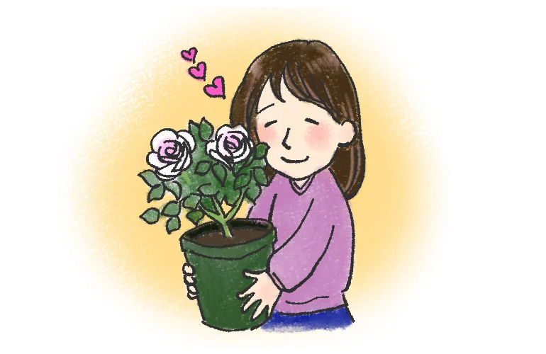 癌腫病との戦いは感染苗を買ったところから始まる！