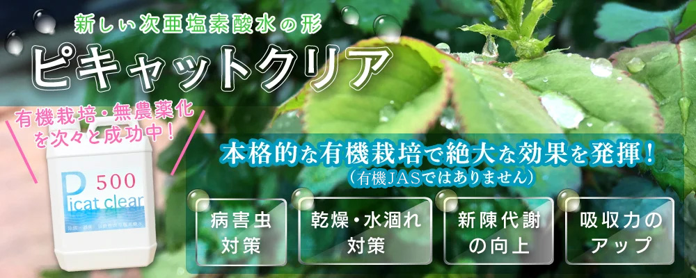 新しい次亜塩素酸水の形ピキャットクリア