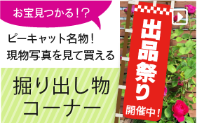掘り出し物コーナー