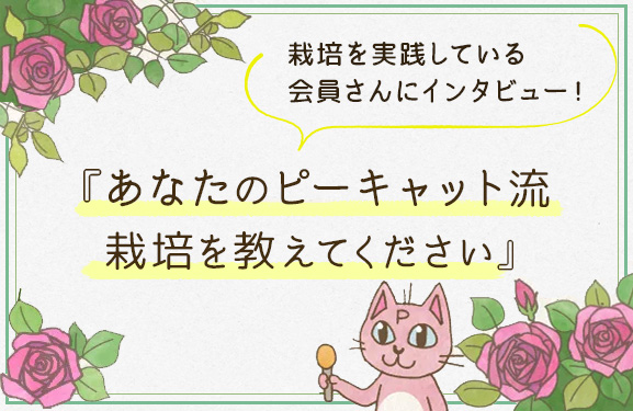 あなたのピーキャット流栽培を教えてください