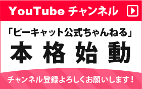 youtubeチャンネル