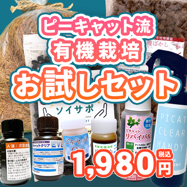 再々リニューアルお試しセット