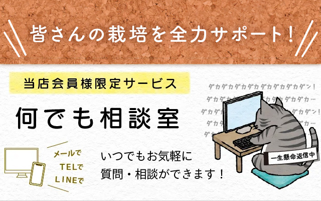 栽培なんでも相談室