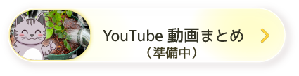 youtube動画まとめページ