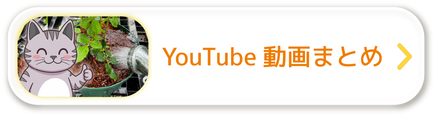 youtube動画まとめページ