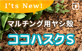 ココハスクＳ
