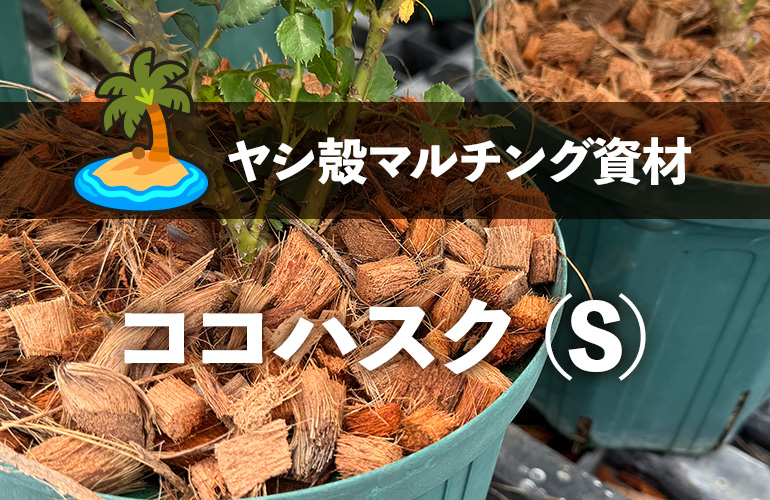 ココハスクSマルチ
